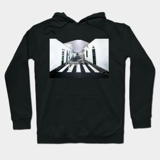 Surreal collage Zebra on street crosswalk Hoodie